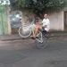 3DUARDIN 244
