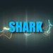 The Shark