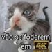 foto de Yan Santos