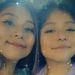 Nicol Alcedo