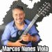 Marcos Nunes Viola