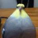 foto de Edward Zn