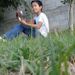 Matias A. López Chavez