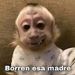 jesus javier garcia hernandez