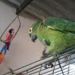 foto de Heraldo Heralcool