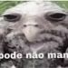 foto de Kel Alves