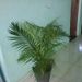 Izailton Neris