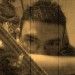 Adelson Guimaraes