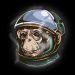 Monkey In Space Records