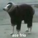foto de Dant B