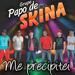 Grupo Papo de Skina