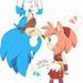 foto de Luma hedgehog