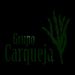 grupocarqueja@gmail.com