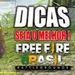 free fire br