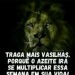 foto de Micael Araújo