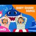 foto de Baby Shark