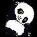 foto de panda milly