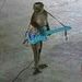 manoel lopes