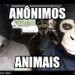 Anonimos Animais
