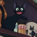 Zé_Yamaguchi