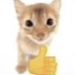 foto de Floppy M