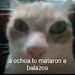 foto de Matias Hernandez