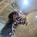 foto de Isahhh_violao