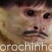 foto de lucas