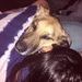 foto de stefy casari