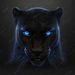 foto de Iron (IronPanter)