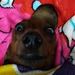 foto de REGINA_GPE