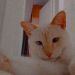 foto de Hemilly Barbosa