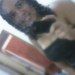 Gislaine Martins
