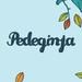 Pedeginja 