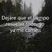 foto de jose blanco