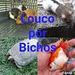 Louco por Bichos