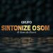 Sintonize o Som