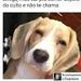 foto de Damaris Cotrim
