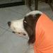 foto de Melissa Tumani