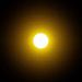 foto de sun yellow