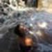 foto de Wania Borges