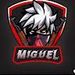 foto de Miguel Nery