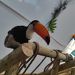 foto de luiskmhv 543