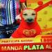 foto de Javier Henriquez