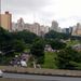 foto de guará Silva