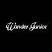 Wander Júnior