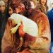 foto de FRATERNITA Contato
