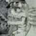 David D