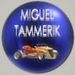 foto de Miguel Tammerik