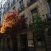 foto de Autumn